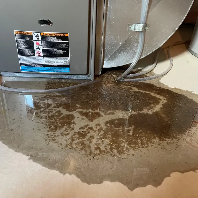 Appliance Leak Cleanup in Waterford, CA